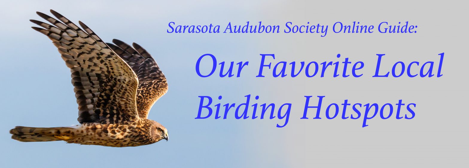 Online Guide: Favorite Local Birding Hotspots - Sarasota Audubon ...